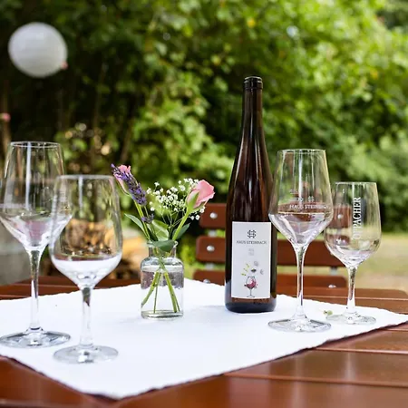 Weingut Haus Steinbach * Radebeul