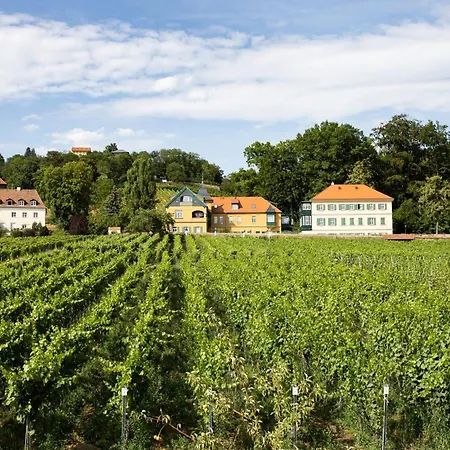 Weingut Haus Steinbach Radebeul