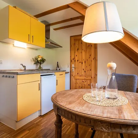 Haus Steinbach * Radebeul