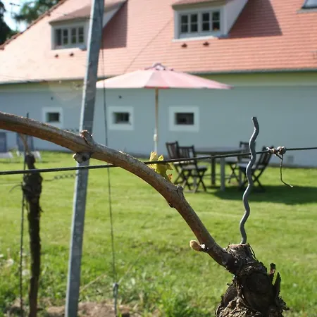 Weingut Haus Steinbach