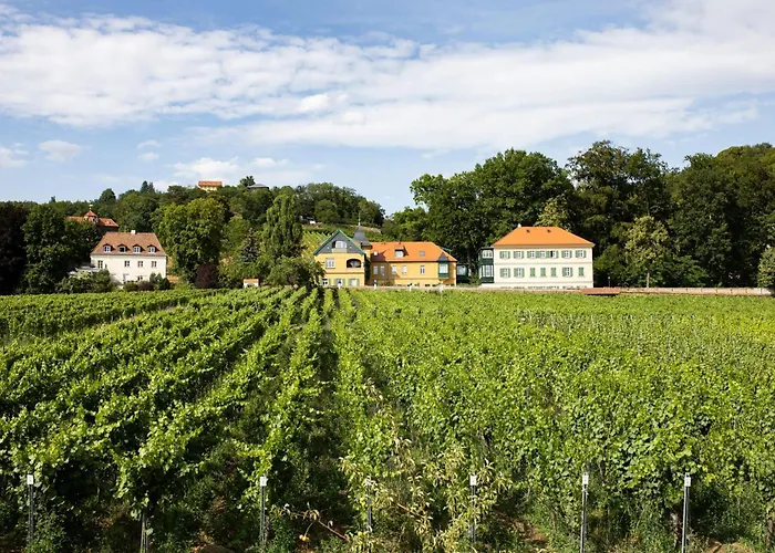 Weingut Haus Steinbach راديبول