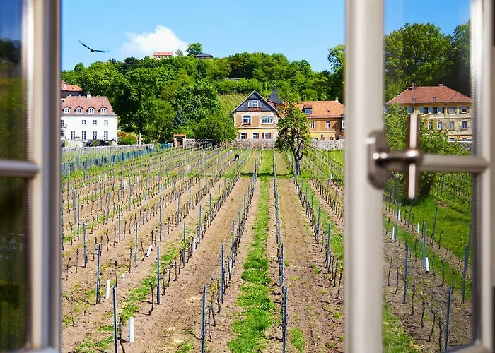 Weingut Haus Steinbach بيت للعطل راديبول